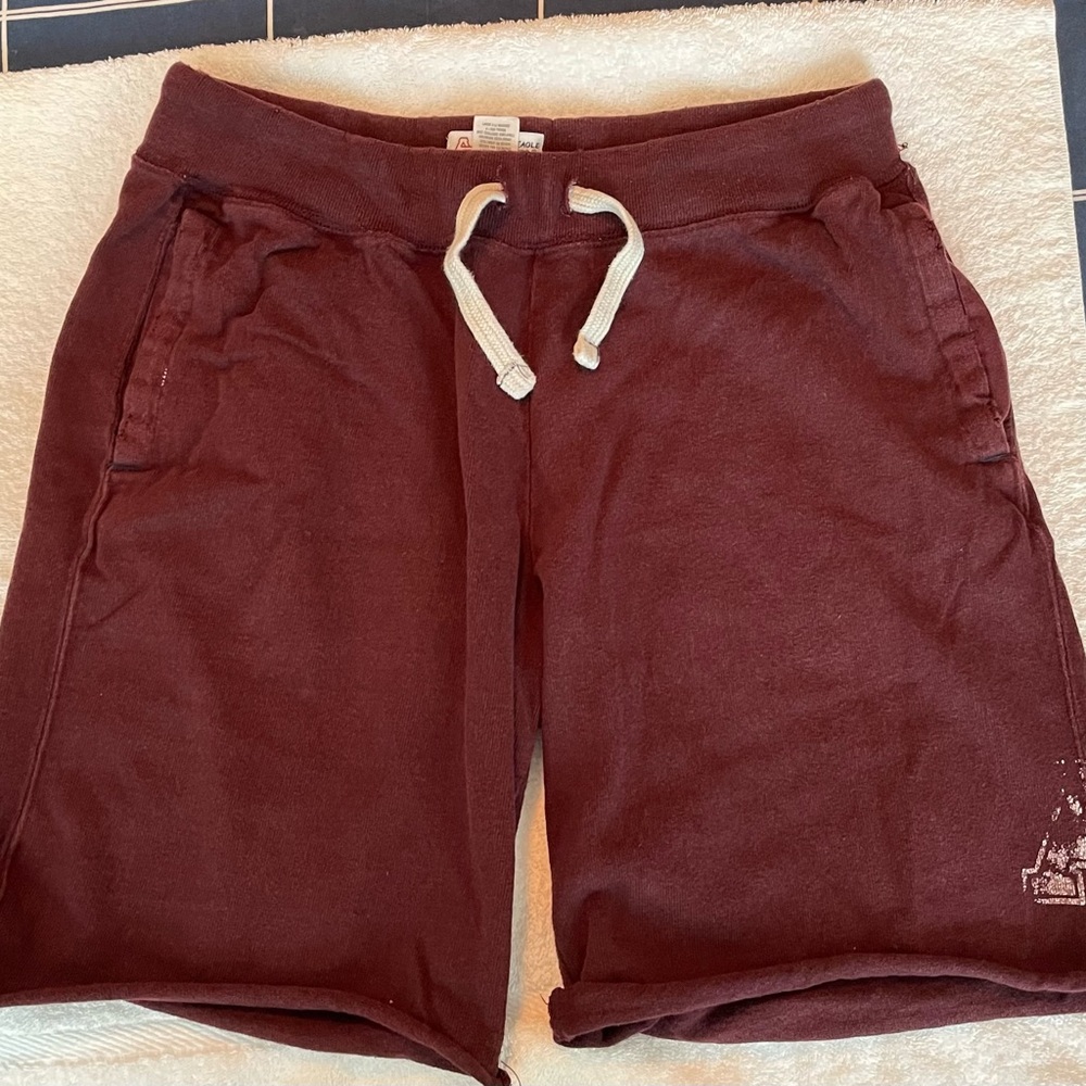 Men’s American eagle sweat shorts